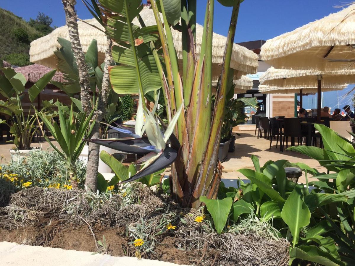 Suebi Rooms Termoli Exterior foto