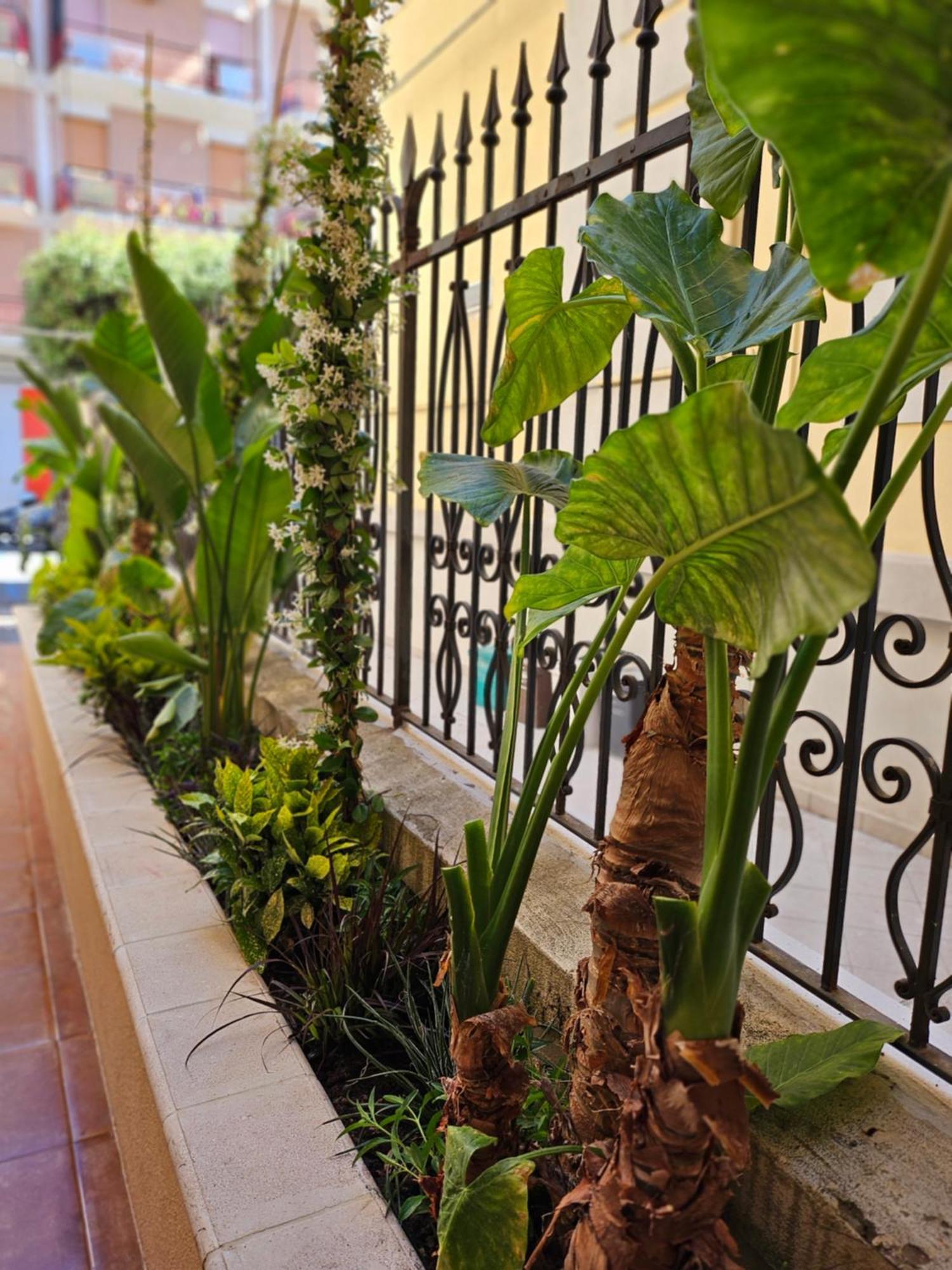 Suebi Rooms Termoli Exterior foto